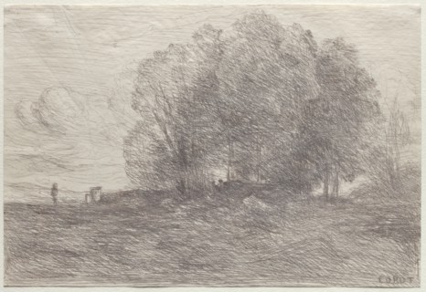 Group of Trees, 1858. Creator: Jean Baptiste Camille Corot (French, 1796-1875).