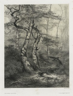 Hare Pursued by a Goshawk, 1858. Creator: Karl Bodmer (Swiss, 1809-1893); Goupil & Co., Paris.