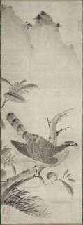 Hawk, mid 1500s. Creator: Masayoshi Fujiwara (Japanese).
