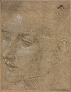 Head of a Young Man, second half 1400s. Creator: Filippino Lippi (Italian, 1457-1504).