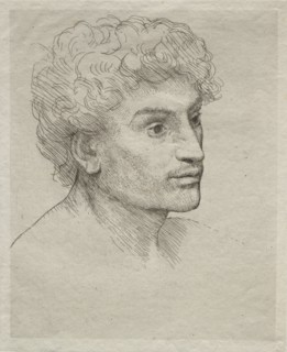Head of a Young Man. Creator: Alphonse Legros (French, 1837-1911).