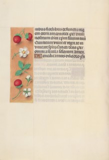 Hours of Queen Isabella the Catholic, Queen of Spain: Fol. 125v, c. 1500. Creator: Master of the First Prayerbook of Maximillian (Flemish, c. 1444-1519); Associates, and.