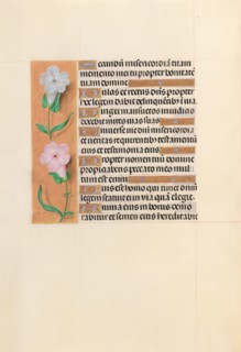 Hours of Queen Isabella the Catholic, Queen of Spain: Fol. 234v, c. 1500. Creator: Master of the First Prayerbook of Maximillian (Flemish, c. 1444-1519); Associates, and.