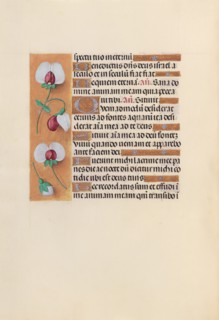 Hours of Queen Isabella the Catholic, Queen of Spain: Fol. 242v, c. 1500. Creator: Master of the First Prayerbook of Maximillian (Flemish, c. 1444-1519); Associates, and.