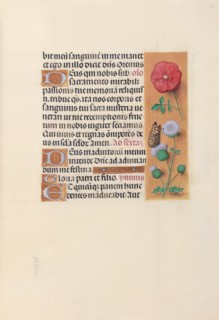 Hours of Queen Isabella the Catholic, Queen of Spain: Fol. 46r, c. 1500. Creator: Master of the First Prayerbook of Maximillian (Flemish, c. 1444-1519); Associates, and.