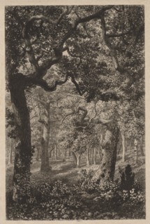 In the Woods. Creator: Adolphe Théodore Jules Martial Potémont (French, 1828-1883).