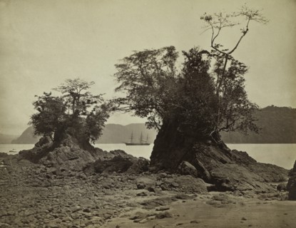 Islands in Limón Bay, 1871. Creator: John Moran (American, 1829-1902).