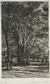 Kensington Gardens (The Larger Plate), 1860. Creator: Francis Seymour Haden (British, 1818-1910).