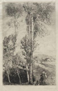 La Petite Mare, 1908. Creator: Auguste Louis Lepère (French, 1849-1918).