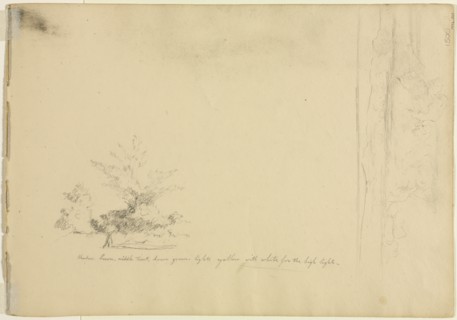 Landscape and Tree Studies (verso), c. 1851. Creator: David Johnson (American, 1827-1908).