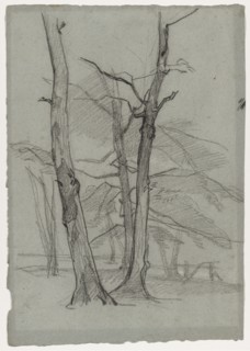 Landscape Study with Trees, c. 1870-1875. Creator: Thomas Couture (French, 1815-1879).