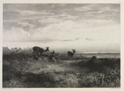 Landscape with Deer, c. 1840. Creator: Karl Bodmer (Swiss, 1809-1893).