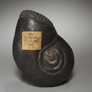 Large Snail, before 1921. Creator: Unknown.