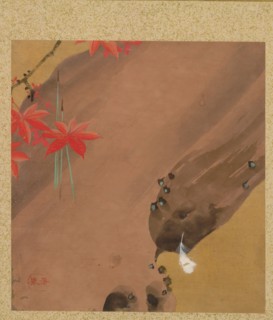 Leaf from Album of Seasonal Themes: Moths, 1847. Creator: Shibata Zeshin (Japanese, 1807-1891).