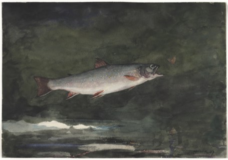 Leaping Trout, 1889. Creator: Winslow Homer (American, 1836-1910).