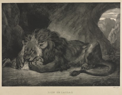 Lion de lAtlas, 1829. Creator: Eugène Delacroix (French, 1798-1863).