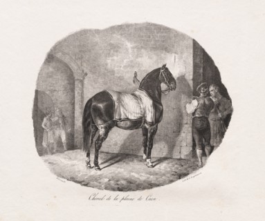Lithographed Studies of Horses: Pl. 7, Horse from the Caen Plain , 1822. Creator: Théodore Géricault (French, 1791-1824); Gihaut.