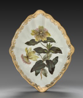 Lozenge Shaped Dish from Dessert Service: Large Flowered St. John's Wort, c. 1800. Creator: Derby (Crown Derby Period) (British).