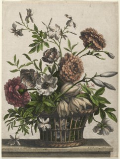 Marigolds, single Anemone, Jasmine.... Creator: Jean-Baptiste I Monnoyer (French, c. 1636-1699).