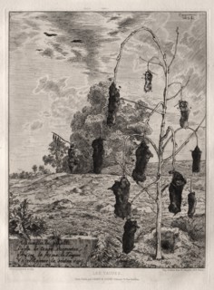 Moles, 1854, printed 1866. Creator: Félix Bracquemond (French, 1833-1914); Cadart & Luquet, 79 , rue Richelieu.