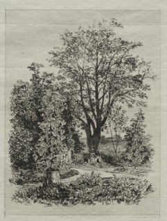 My Garden. Creator: Maxime Lalanne (French, 1827-1886).