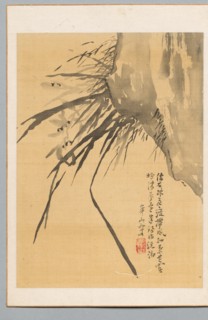 Orchid, 19th century. Creator: Watanabe Kazan (Japanese, 1793-1841).