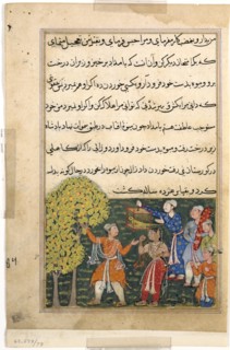 Page from Tales of a Parrot (Tuti-nama): Ninth night: The king plucks fruit from the Tree..., c. 156 Creator: Unknown.