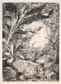 Plants of the Greenhouse, 1872. Creator: Jules Jacquemart (French, 1837-1880); A. Cadart & Luquet, 79, rue Richelieu.