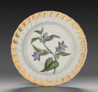 Plate from Dessert Service: Nettle Leaved Bell Flower, c. 1800. Creator: Derby (Crown Derby Period) (British).