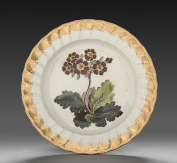 Plate from Dessert Service: Polyanthus, c. 1800. Creator: Derby (Crown Derby Period) (British).