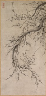 Prunus, 17th century. Creator: Kano Ein? (Japanese, 1631-1697), attributed to.