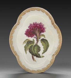 Quatrelobed Dish from Dessert Service: Coxcomb, c. 1800. Creator: Derby (Crown Derby Period) (British).
