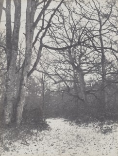 Road in the Forest, 1860-1863. Creator: Eugène Cuvelier (French, 1837-1900).