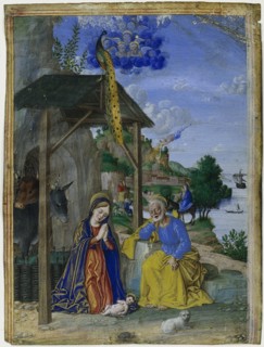 Single Miniature: The Nativity, c. 1515. Creator: Girolamo dai Libri (Italian, 1474-1555).