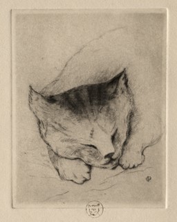 Six Etchings: Head of a Kitten, 1895. Creator: Paul Gachet (French, 1828-1909).