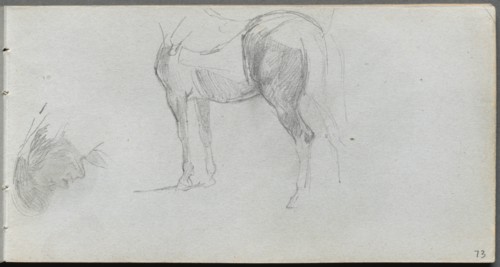 Sketchbook, page 73: Study of a Horse, profile. Creator: Ernest Meissonier (French, 1815-1891).