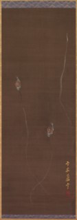 Snails on a Wall, 1700s. Creator: Nagasawa Rosetsu (Japanese, 1754-1799).