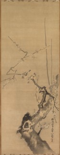 Sparrows on Blossoming Plum, 17th century. Creator: Kano Tan?y? (Japanese, 1602-1674), attributed to.