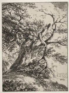 Specimens of Polyautography: Landscape with an Oak Tree, 1803. Creator: Thomas Hearne (British, 1744-1817).