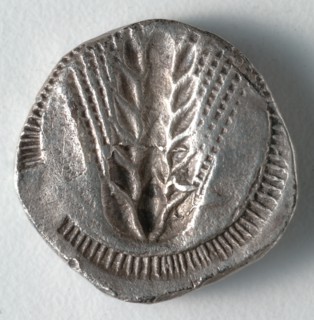 Stater: Ear of Corn incuse [stamped in] (reverse), 530-510 BC. Creator: Unknown.