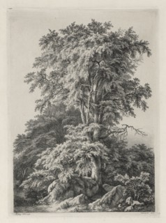 Studies Drawn and Engraved after Nature: The Beach, Fontainbleau..., 1840. Creator: Eugene Bléry (French, 1805-1886).