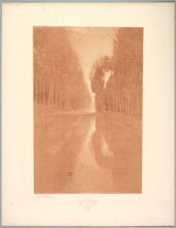 Suite de Paysages: Landscape, Plate 2, Remarque, Starflowers, 1892-1893. Creator: Charles Marie Dulac (French, 1865-1898); Printer: Bellefond (per colophon).