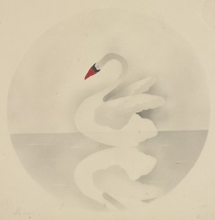 Swan. Creator: Mary Altha Nims (American, 1817-1907).