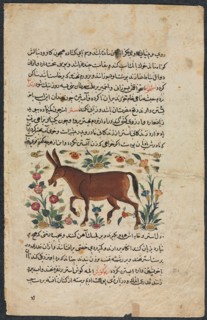 Text Page, Persian Prose (Recto); Khar (Ass) (Verso), 1400s. Creator: Unknown.