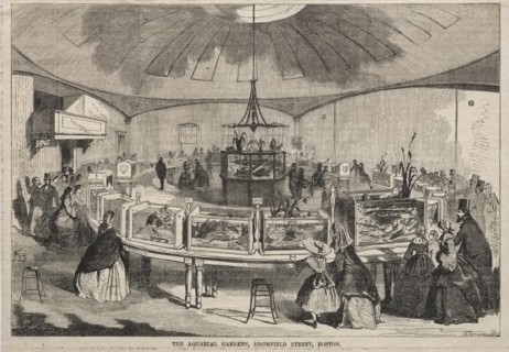 The Aquarial Gardens, Bromfield Street, Boston, 1859. Creator: Winslow Homer (American, 1836-1910).