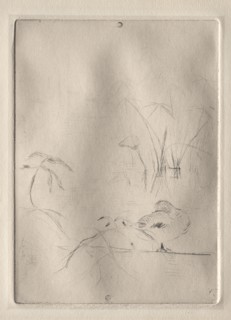 The Duck, 1888-90. Creator: Berthe Morisot (French, 1841-1895).
