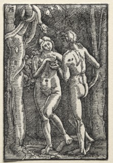 The Fall and Redemption of Man: Adam and Eve Eating the Forbidden Fruit, c. 1515. Creator: Albrecht Altdorfer (German, c. 1480-1538).