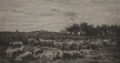 The Large Sheep-Fold, 1860. Creator: Charles François Daubigny (French, 1817-1878); Cadart.