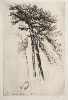The Latest Tree, 1882. Creator: Francis Seymour Haden (British, 1818-1910).