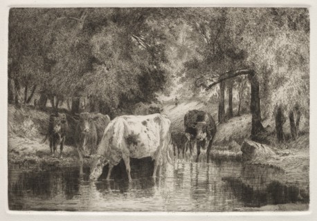 The Pool. Creator: Peter Moran (American, 1841-1914).